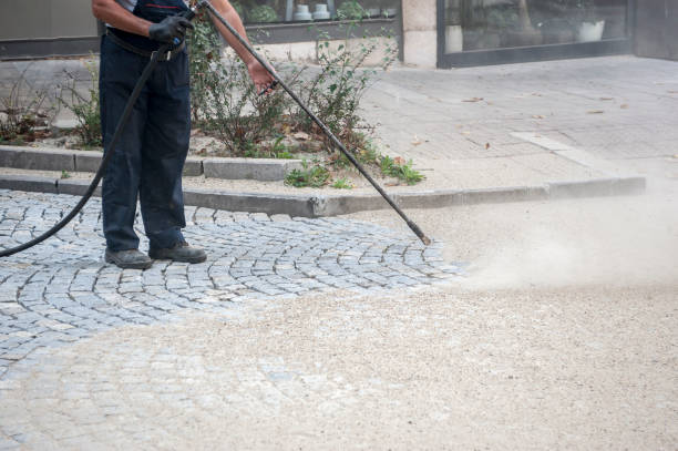 Best Roof Washing  in Weaver, AL